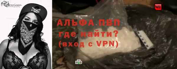 гашик Вяземский