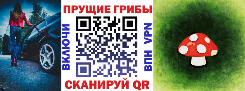 Купить закладки  Правдинск  Псилоцибиновые грибы прущие грибы 